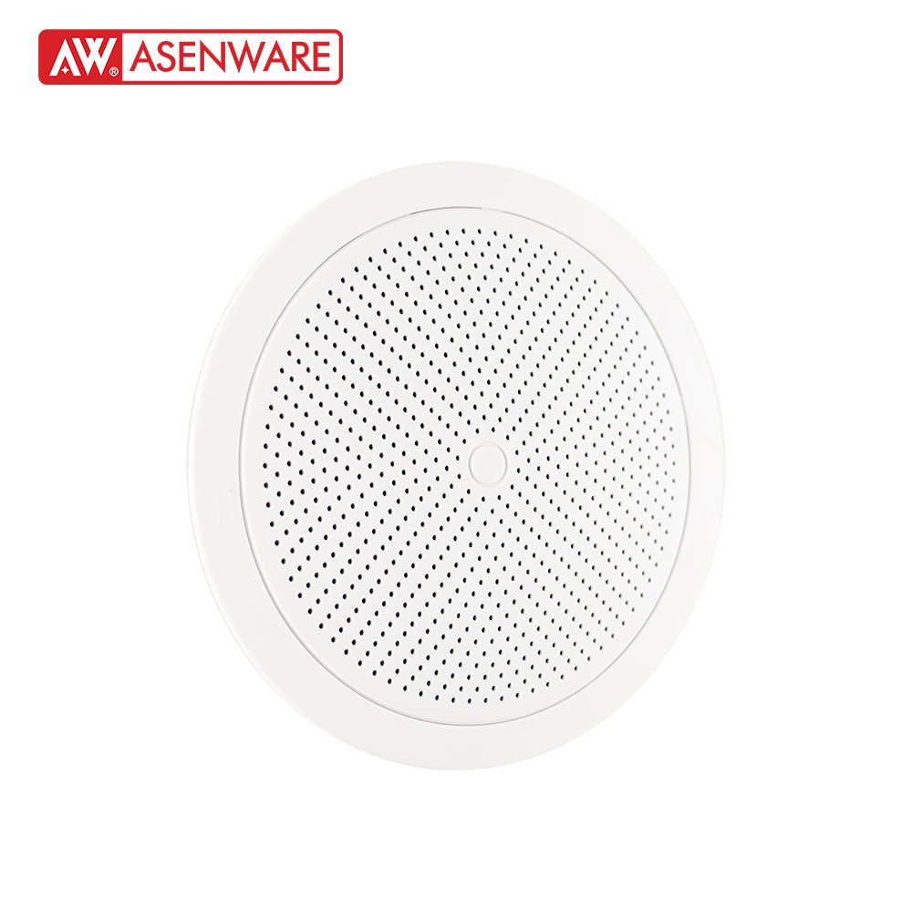 Ceiling Speaker AW-SP101